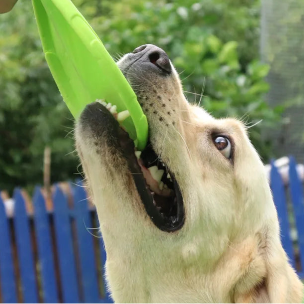 OUZEY Bite Resistant Flying Disc Toys For Dog