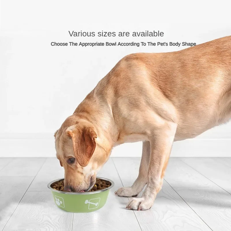 Stainless Steel Pet Bowl Double Layer
