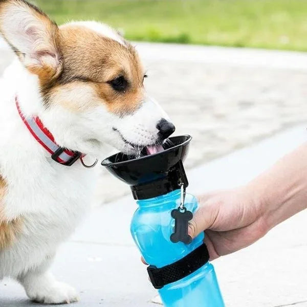 500ml Portable Pet Water Bottle for Dogs & Cats