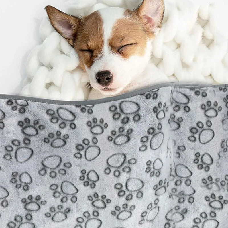 CozyPaw Blanket
