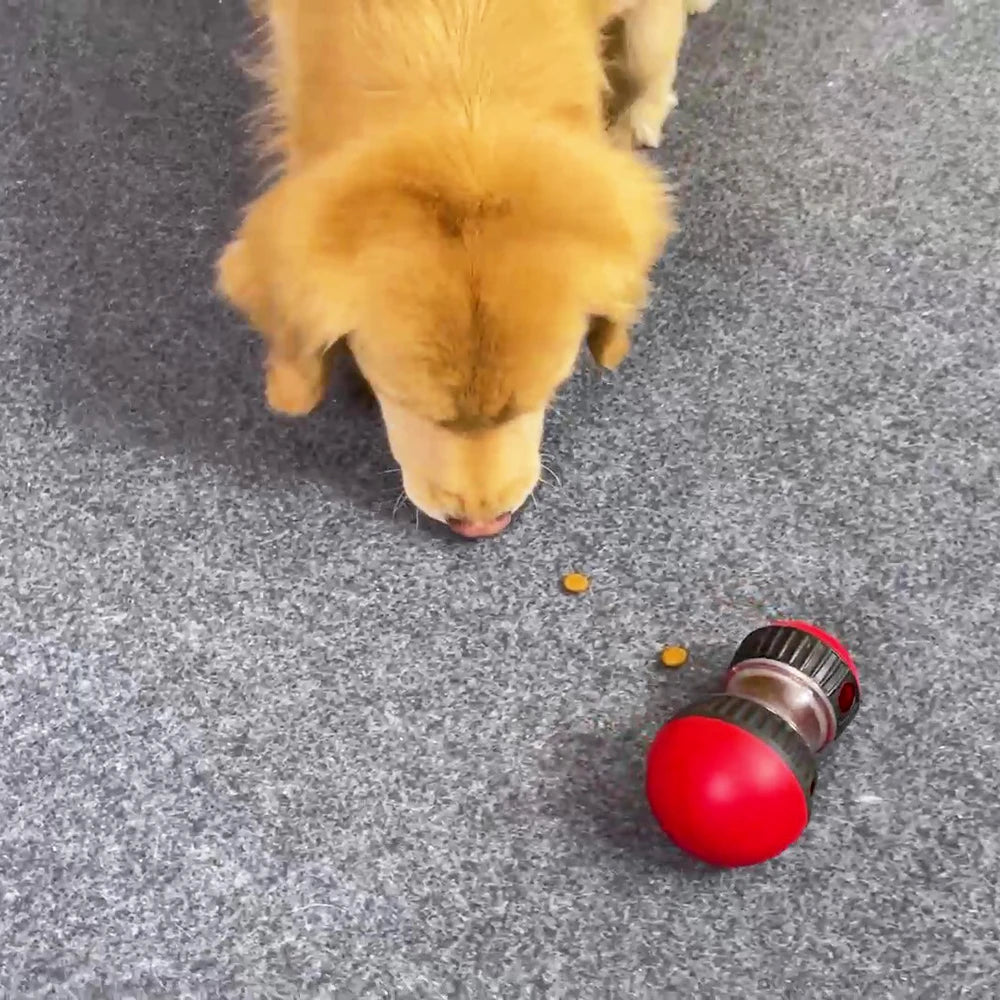 Interactive Smart Toy