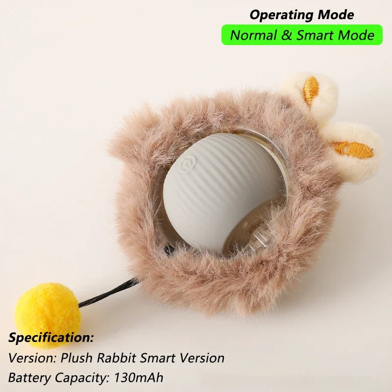 Smart Rolling Ball