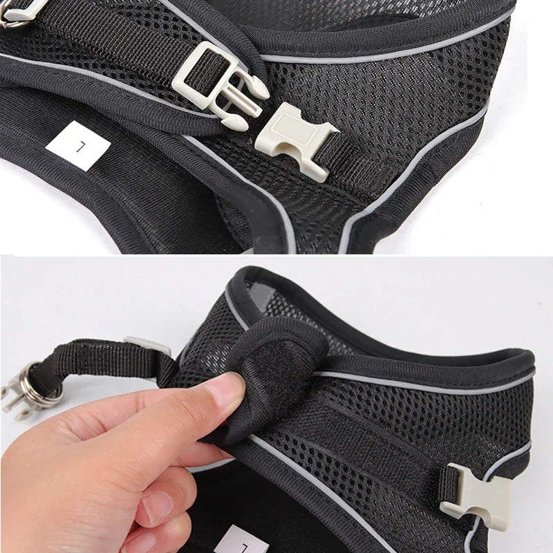 EasyWalk Pro