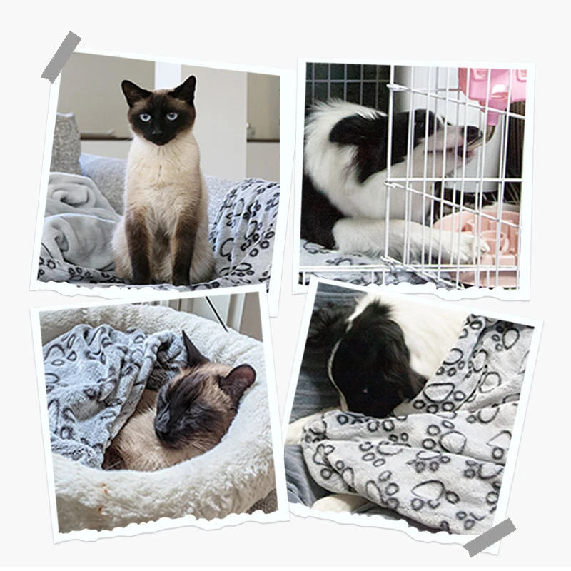 CozyPaw Blanket